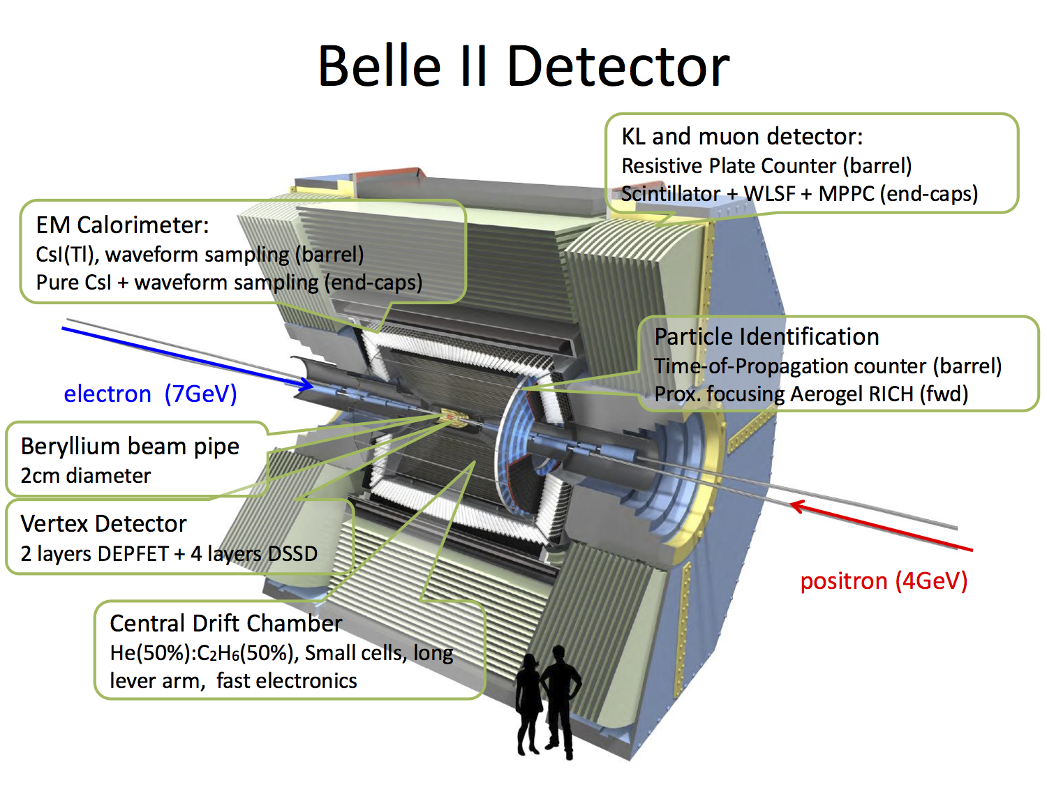 Drawing of the Belle II detector